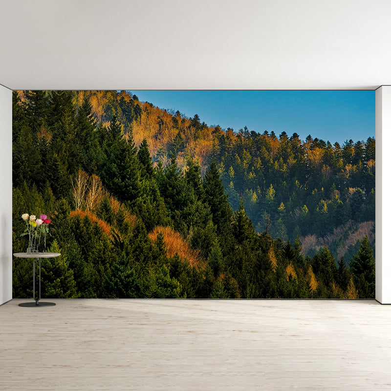 Contemporary Photography Style Forest Mural Wallpaper Mildew Resistant for Bedroom