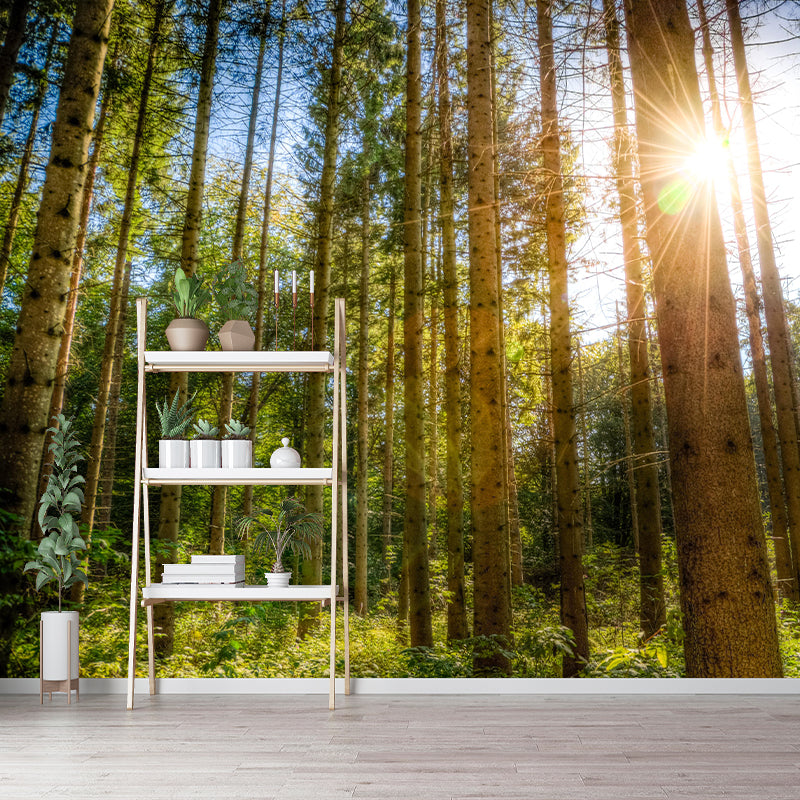 Nature Photography Style Forest Mural Wallpaper Mildew Resistant for Room