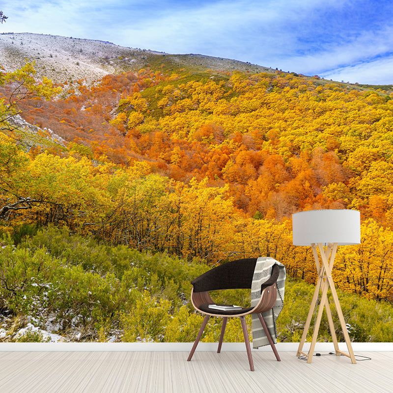 Contemporary Photography Style Forest Mural Wallpaper Mildew Resistant for Decoration