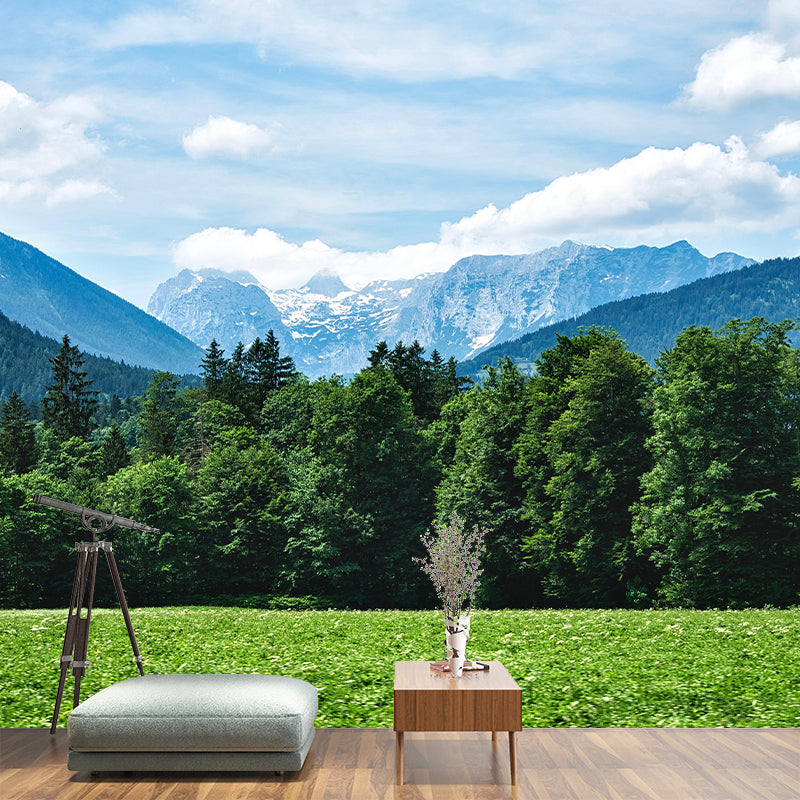 Contemporary Photography Style Forest Mural Wallpaper Mildew Resistant for Wall Decor