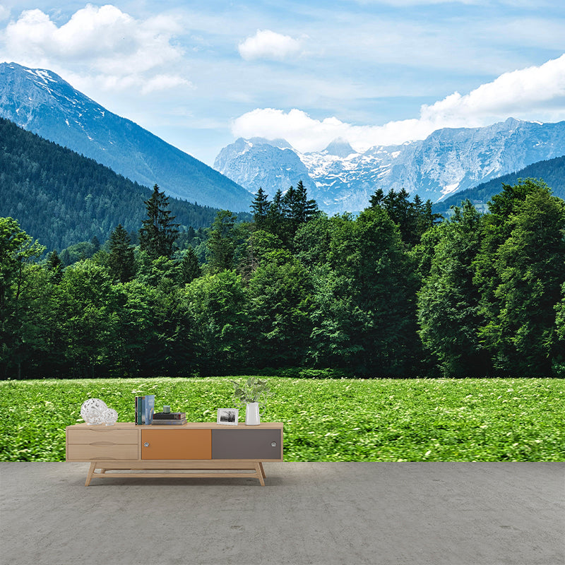 Contemporary Photography Style Forest Mural Wallpaper Mildew Resistant for Wall Decor