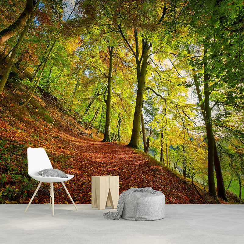 Contemporary Photography Style Forest Mural Wallpaper Mildew Resistant for Wall Decor