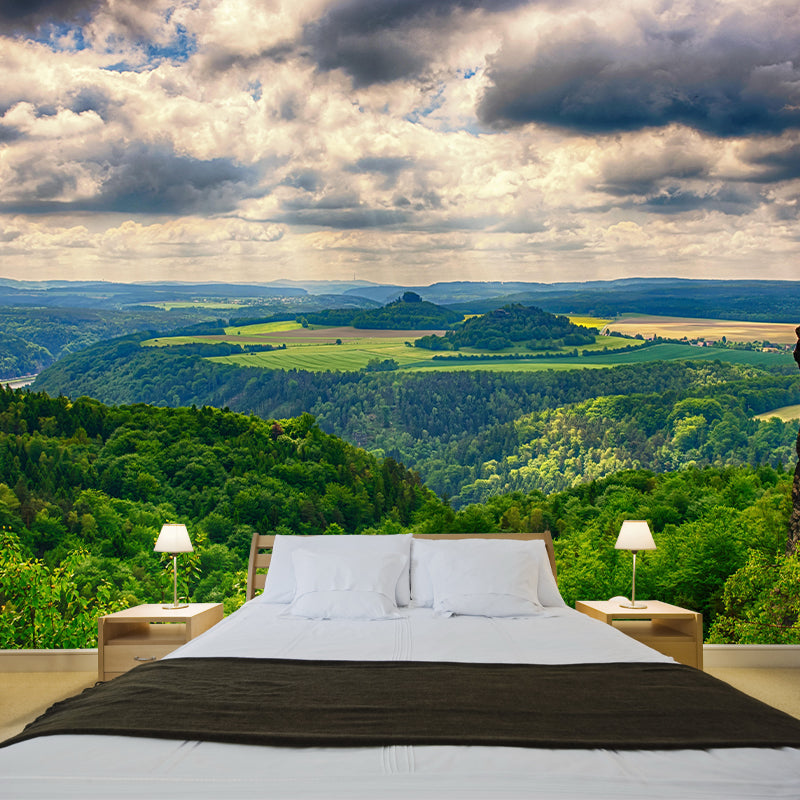 Contemporary Photography Style Forest Mural Wallpaper Mildew Resistant for Home