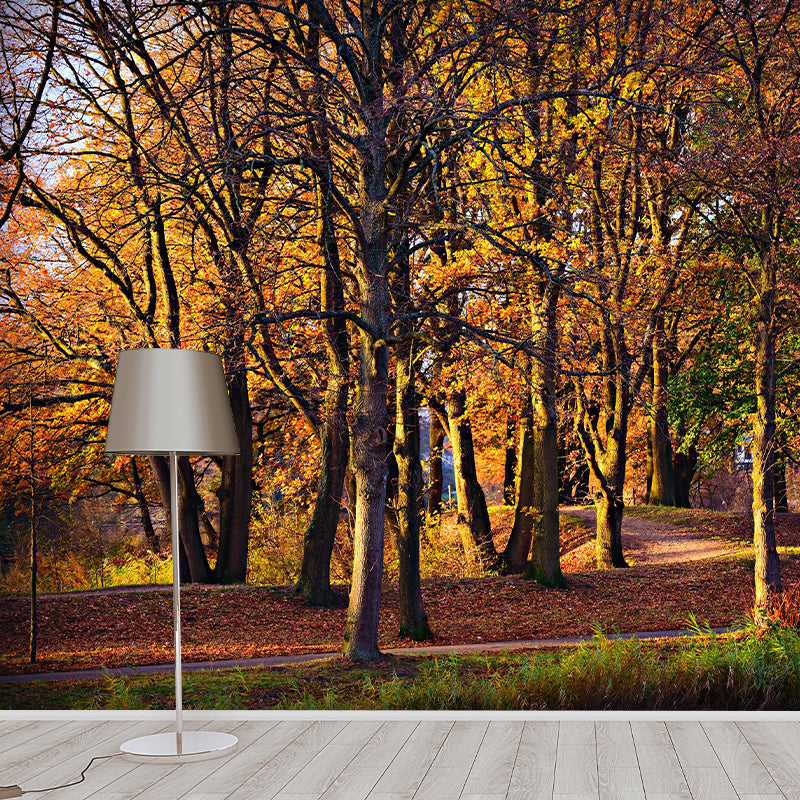 Contemporary Photography Style Forest Mural Wallpaper Mildew Resistant for Home Decor