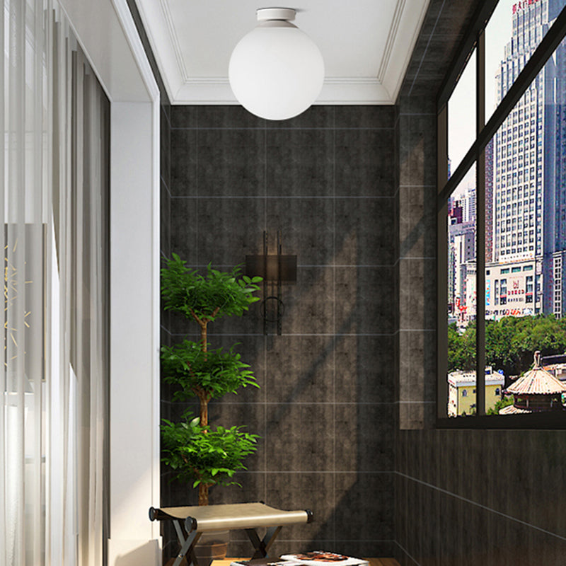 Modern Simple Spherical Shape Ceiling Lamp Iron 1 Light Ceiling Light for Corridor