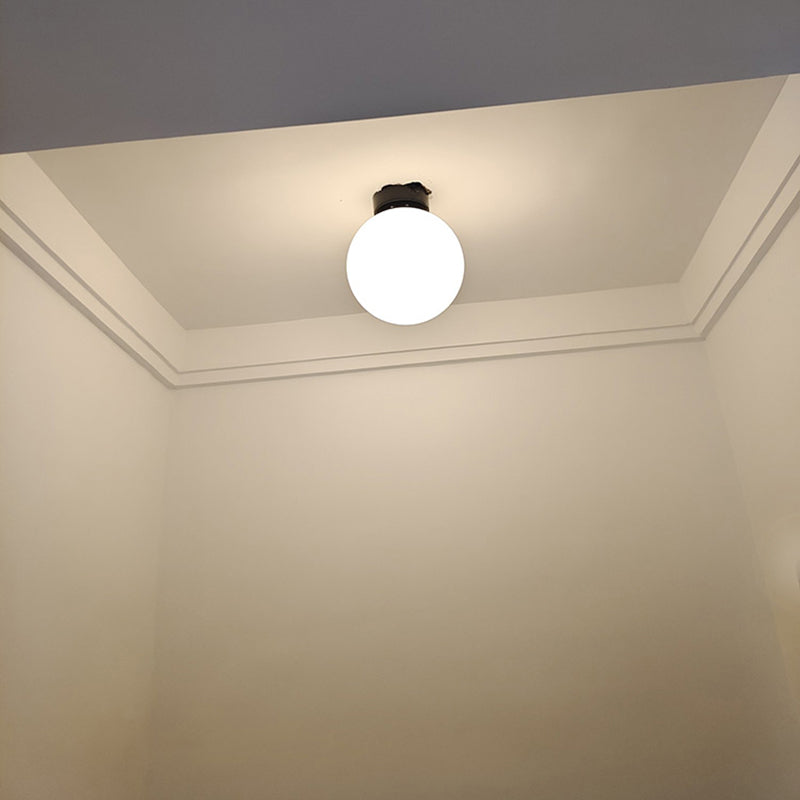 Modern Simple Spherical Shape Ceiling Lamp Iron 1 Light Ceiling Light for Corridor