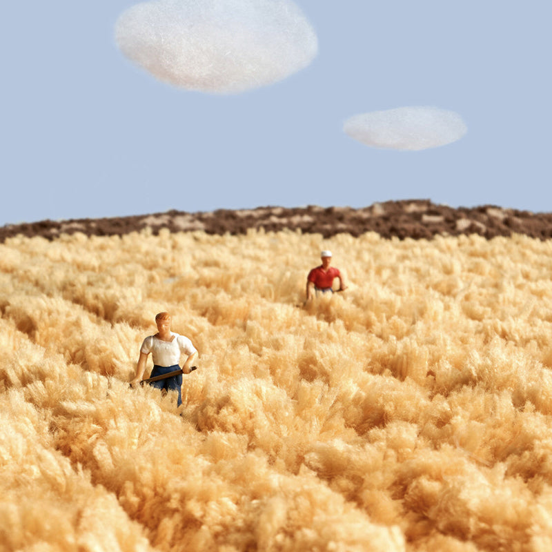 Orange Modern Rug Polyester Color Piece Rug Non-Slip Backing Rug for Living Room