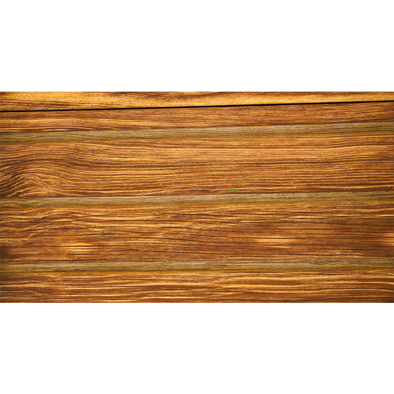 Full Size Wood Grain Mural Contemporary Home Decor for Sitting Room, Water Resistant