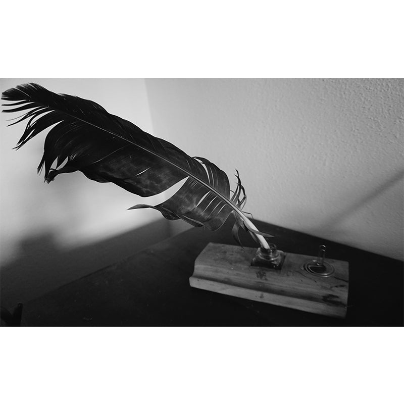 Fluffy Feathers Wall Mural for Dining Room, Personalized Size Available