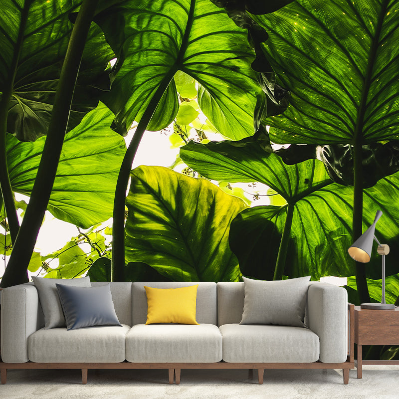 Tropical Leaves Mural Stain-Resistant Wall Decor for Guest Room, Personalized Size