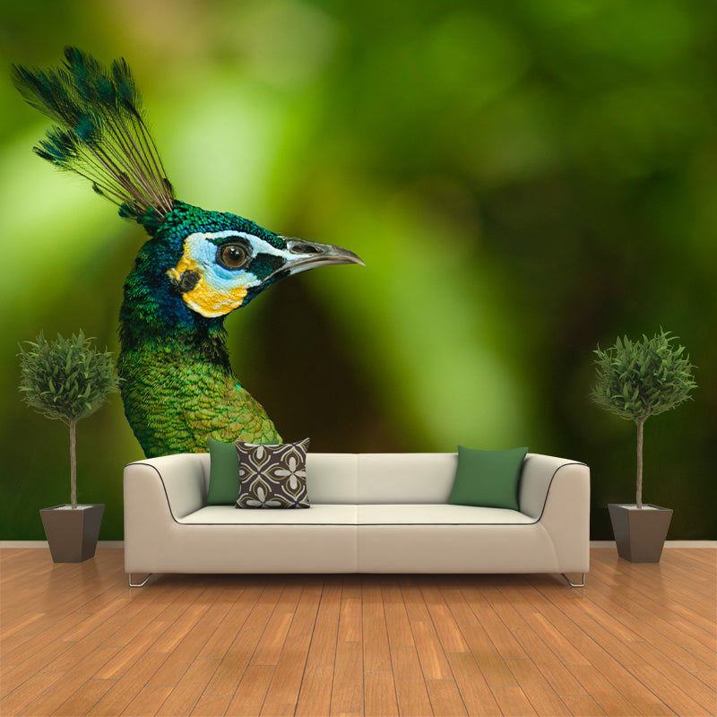 Peacock Customized Contemporary Style Mural Water Resistant for Living Room
