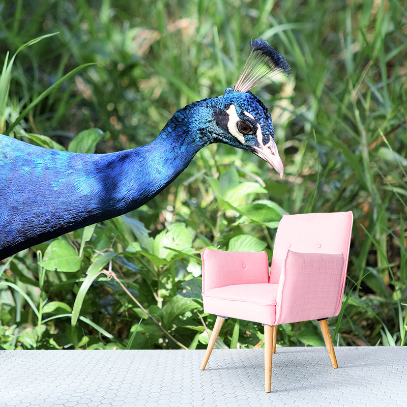 Peacock Customized Contemporary Style Mural Water Resistant for Living Room