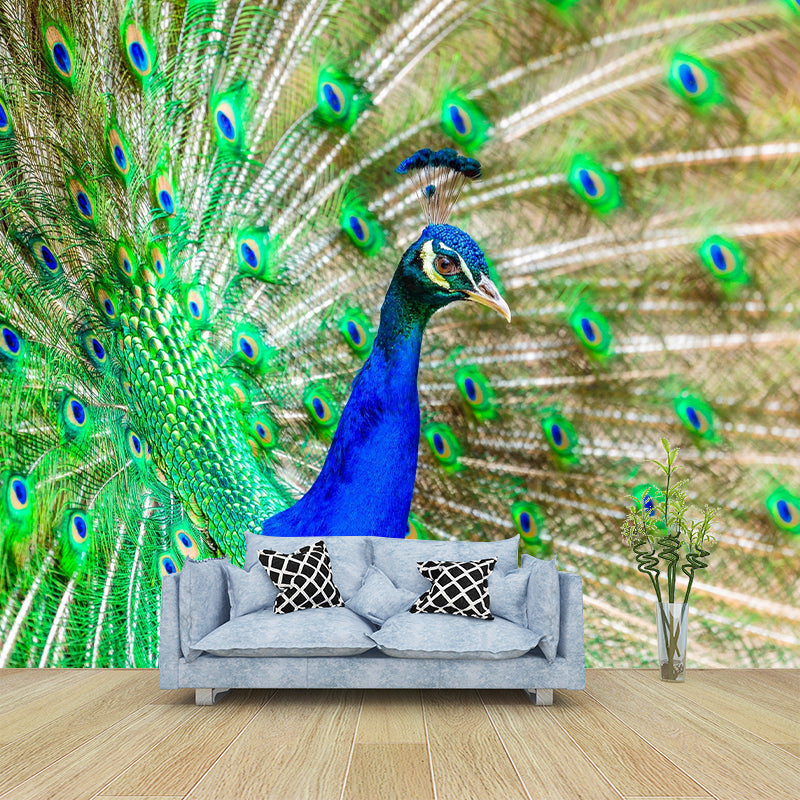 Peacock Customized Contemporary Style Mural Water Resistant for Living Room