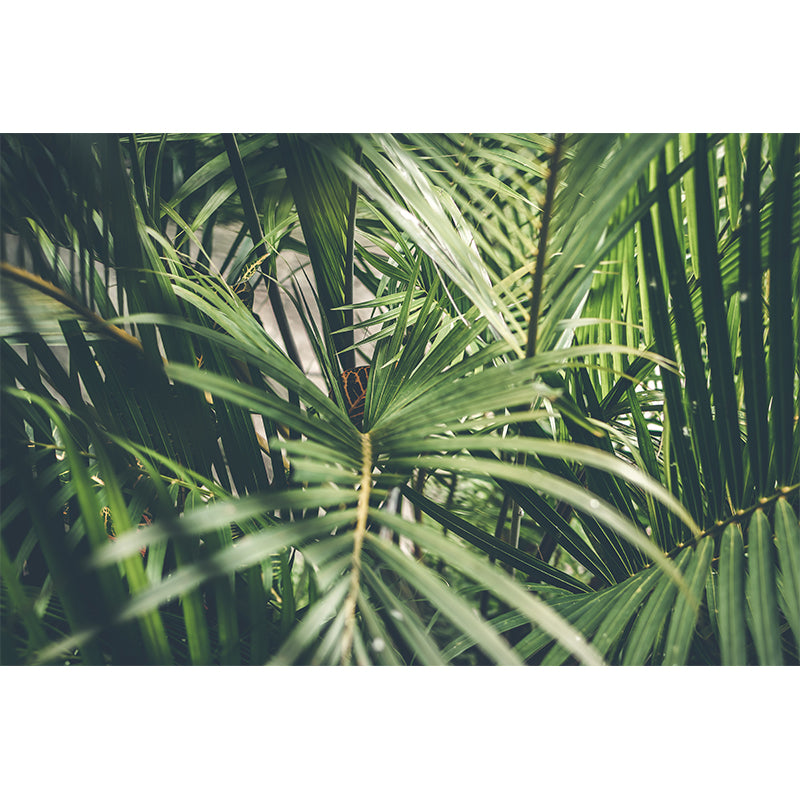 Tree Leaf Mural Stain-Resistant Wall Decor for Dining Room, Personalized Size