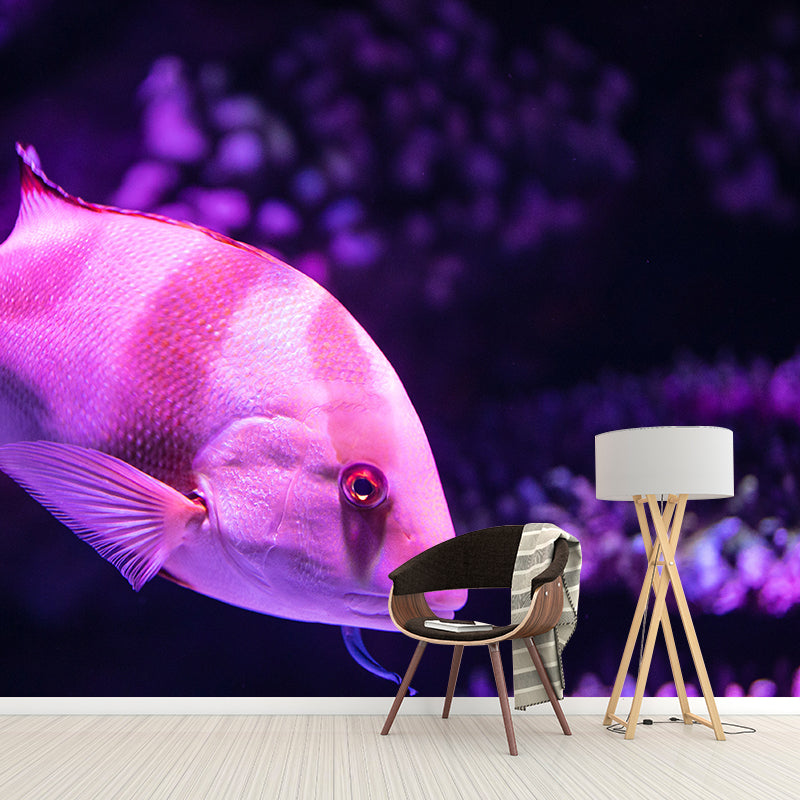 Sea Creatures Wall Mural for Sleeping Room, Water Resistant, Made to Measure