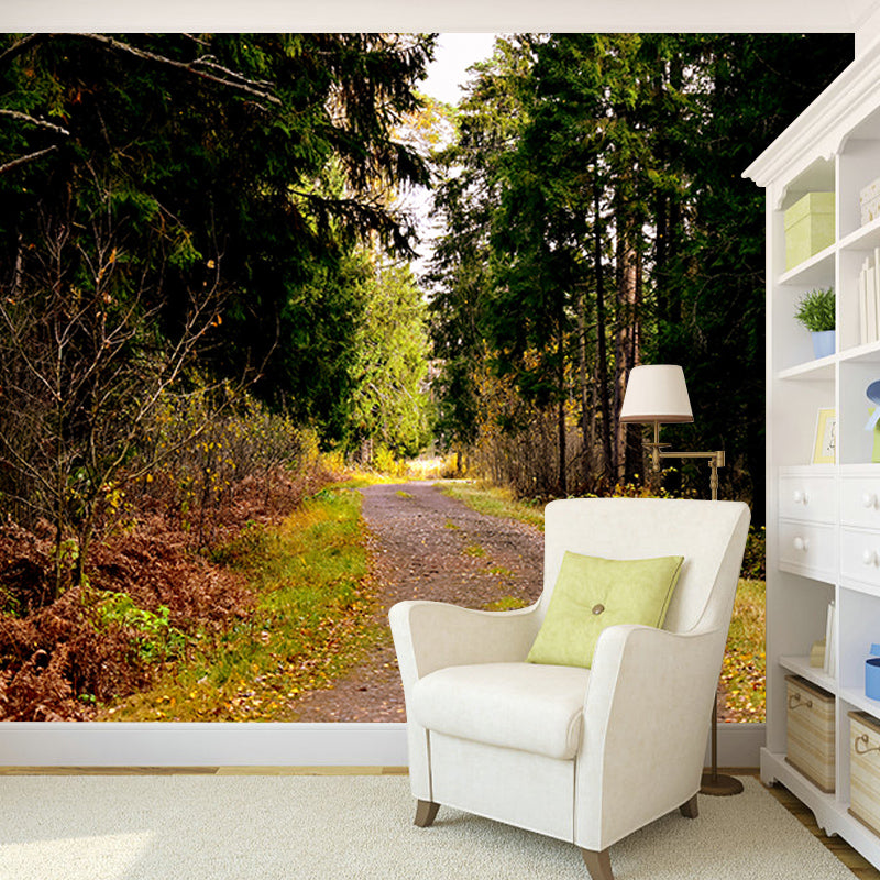 Minimalism Style Forest Mural Wallpaper Water Resistant Wall Covering for Home