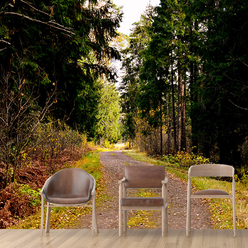 Minimalism Style Forest Mural Wallpaper Water Resistant Wall Covering for Home