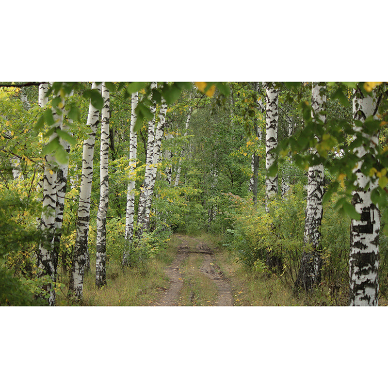 Green Forest Mural Wallpaper Water Resistant Wall Covering for Reading Room