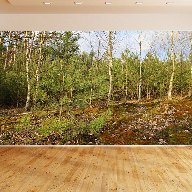 Simple Forest Wall Mural Decal Full Size Moisture Resistant, Made to Measure