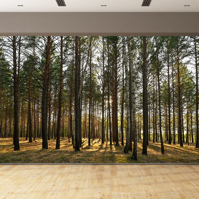 Simple Forest Wall Mural Decal Full Size Moisture Resistant, Made to Measure