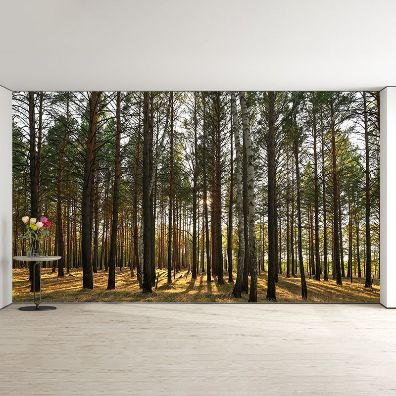 Simple Forest Wall Mural Decal Full Size Moisture Resistant, Made to Measure