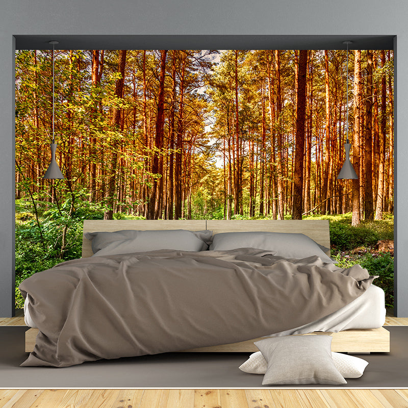 Simple Forest Wall Mural Decal Full Size Moisture Resistant, Made to Measure
