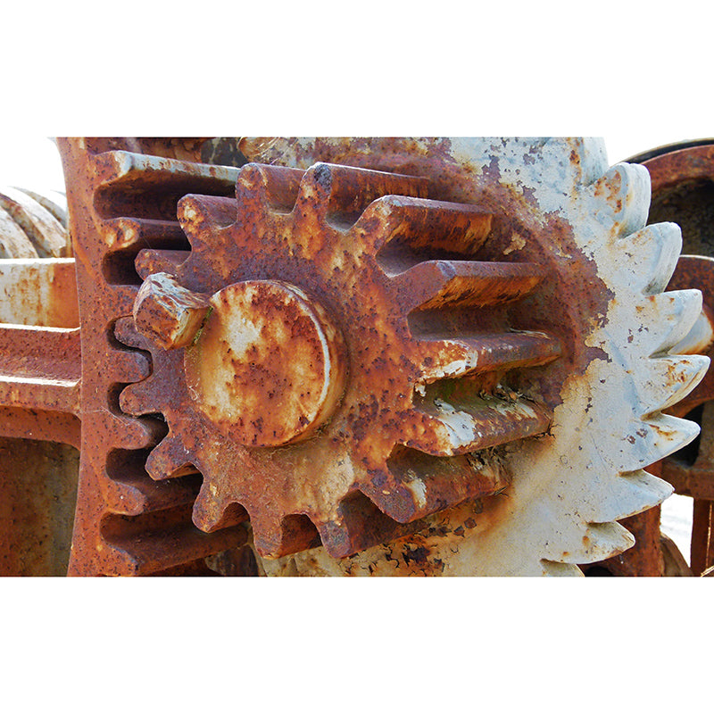 Gearwheel Full Size Wall Covering for Sitting Room Water Resistant Wall Mural Decal