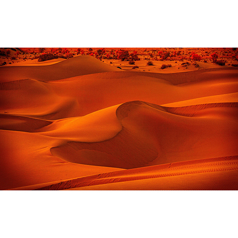 Modern Desert Landscape Wallpaper Mural Waterproofing, Made to Measure