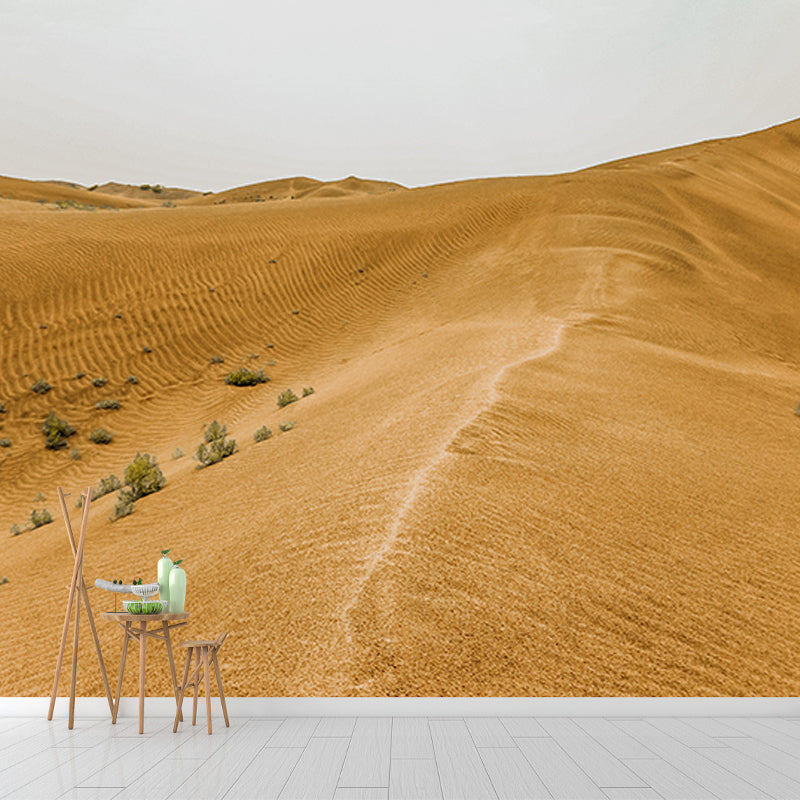 Simple Desert Mural Wallpaper Modernism Wall Art for Home, Made to Measure