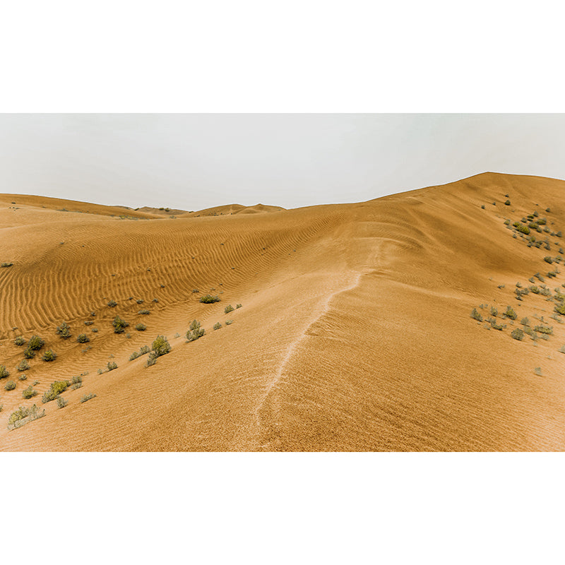 Simple Desert Mural Wallpaper Modernism Wall Art for Home, Made to Measure