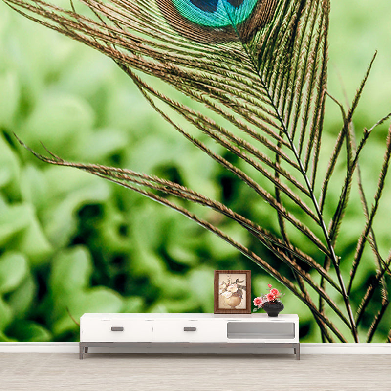 Decor Bird Feather Mural for House Interior Moisture Resistant, Custom Size Available