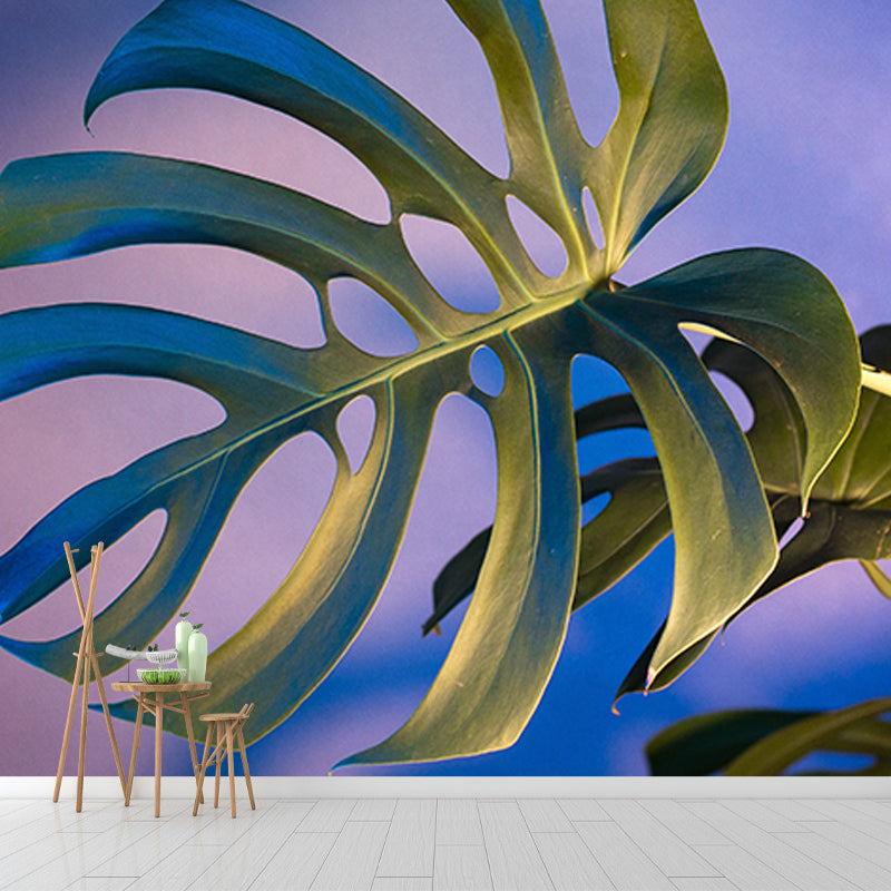 Decal Nature Tropical Plant Monstera Mural for Meeting Room Water Resistant, Custom Size