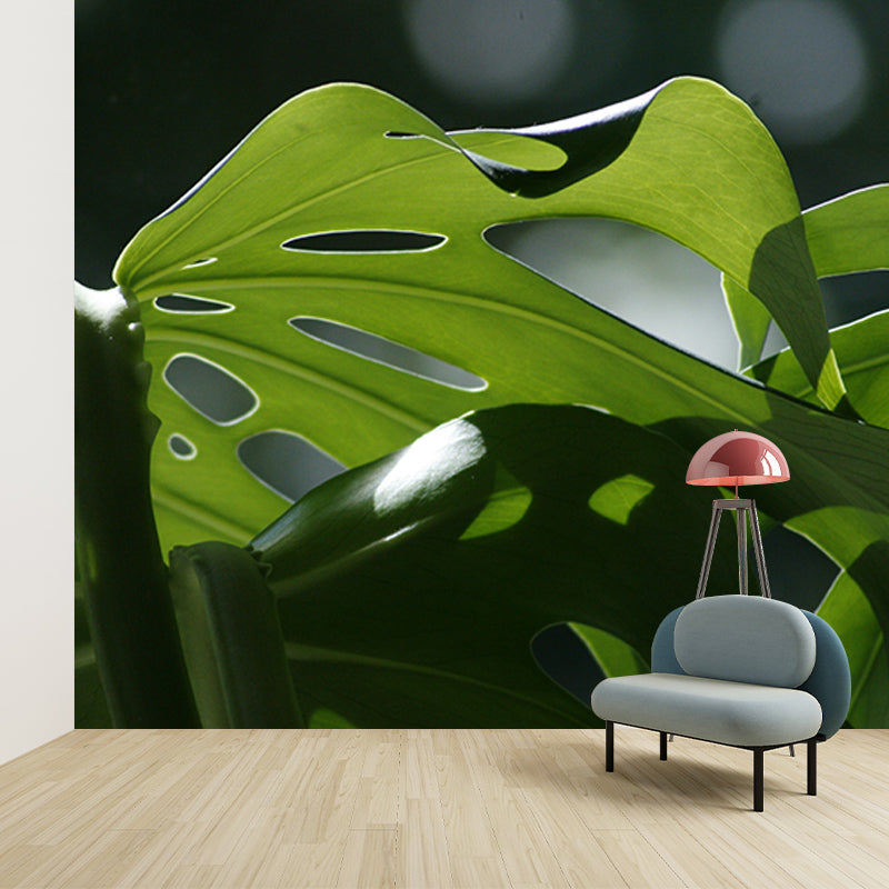 Tropical Plant Monstera Wall Mural for Sitting Room Decoration, Waterproofing, Custom-Made