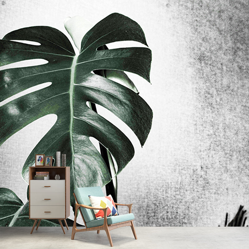 Tropical Plant Monstera Wall Mural for Sitting Room Decoration, Waterproofing, Custom-Made