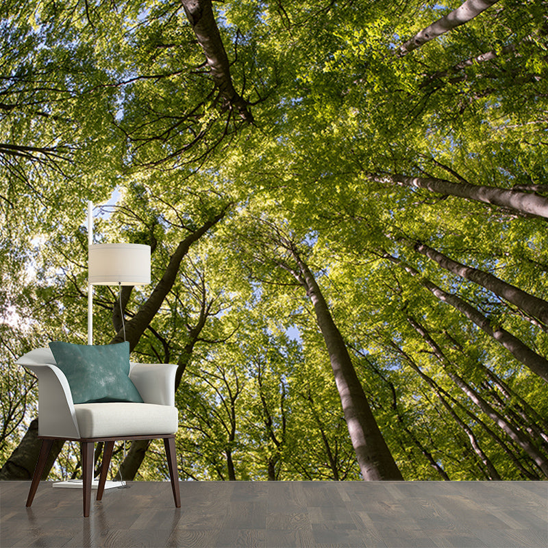 Nature Wall Mural Forest Landscape Mildew Resistant Wall Decor, Personalized Size