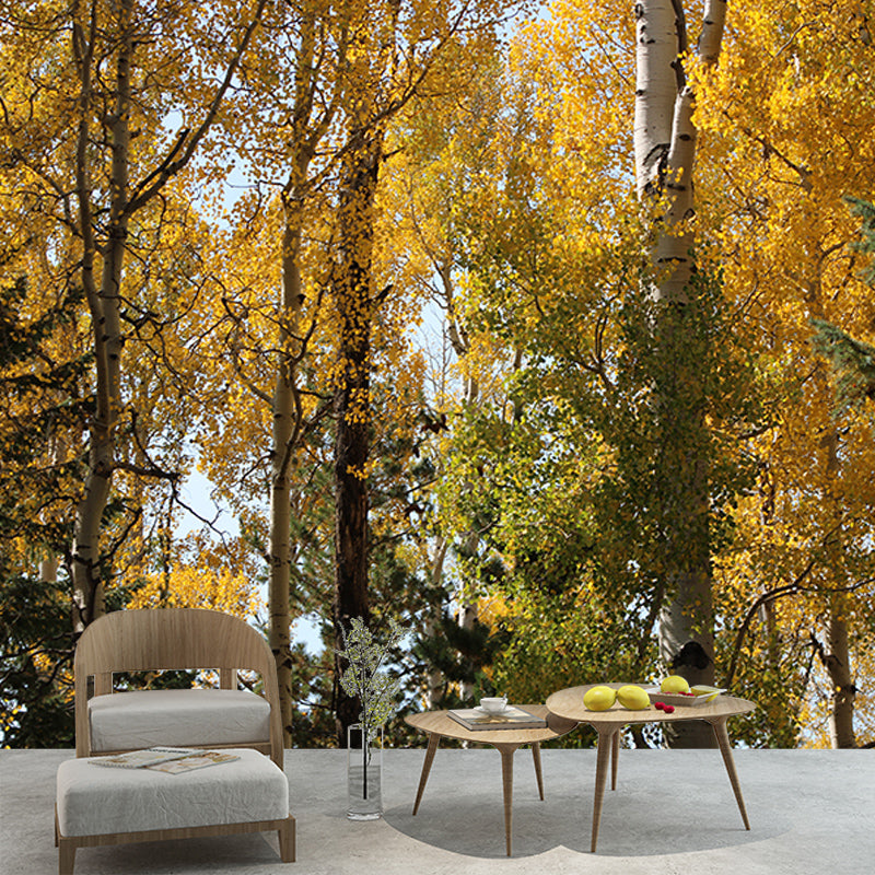 Forest Landscape Wall Mural Moisture Resistant Wall Decor, Personalized Size