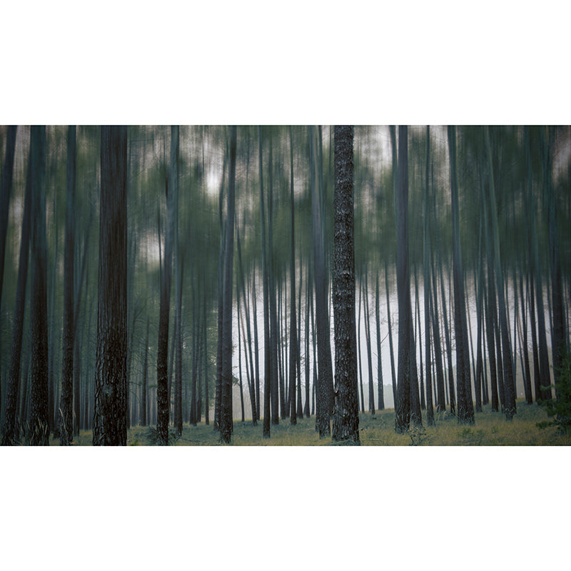 Forest Landscape Wall Mural Moisture Resistant Wall Decor, Personalized Size