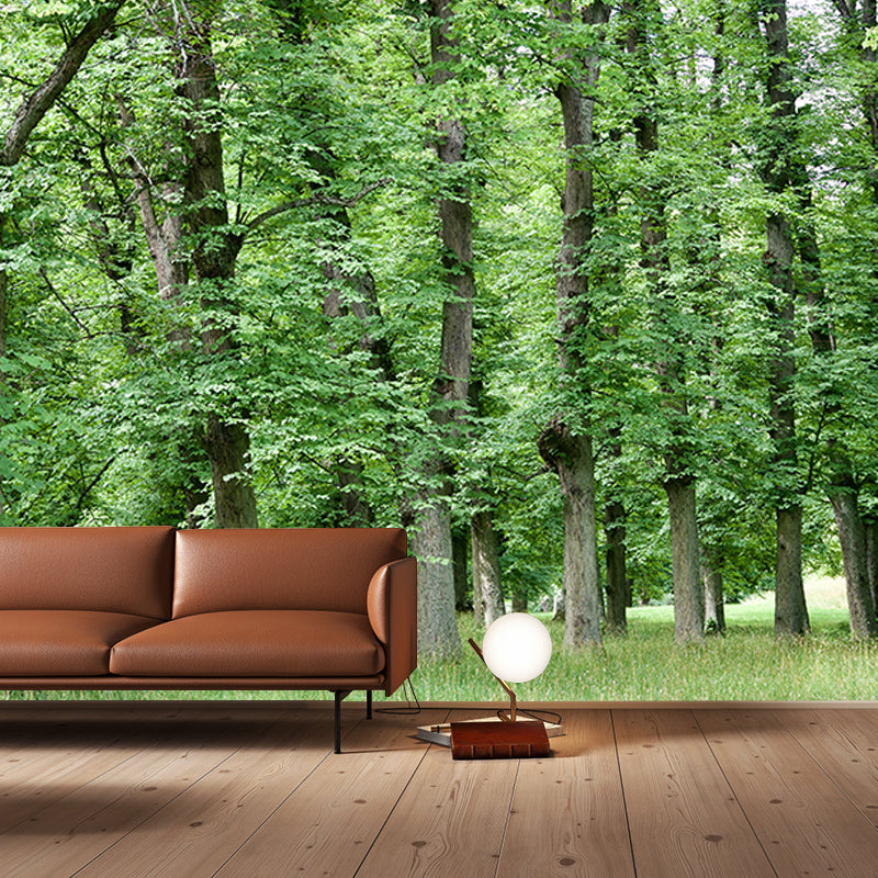 Green Forest Scenery Mural Wall Decor for Bedroom Study Room Reading Room