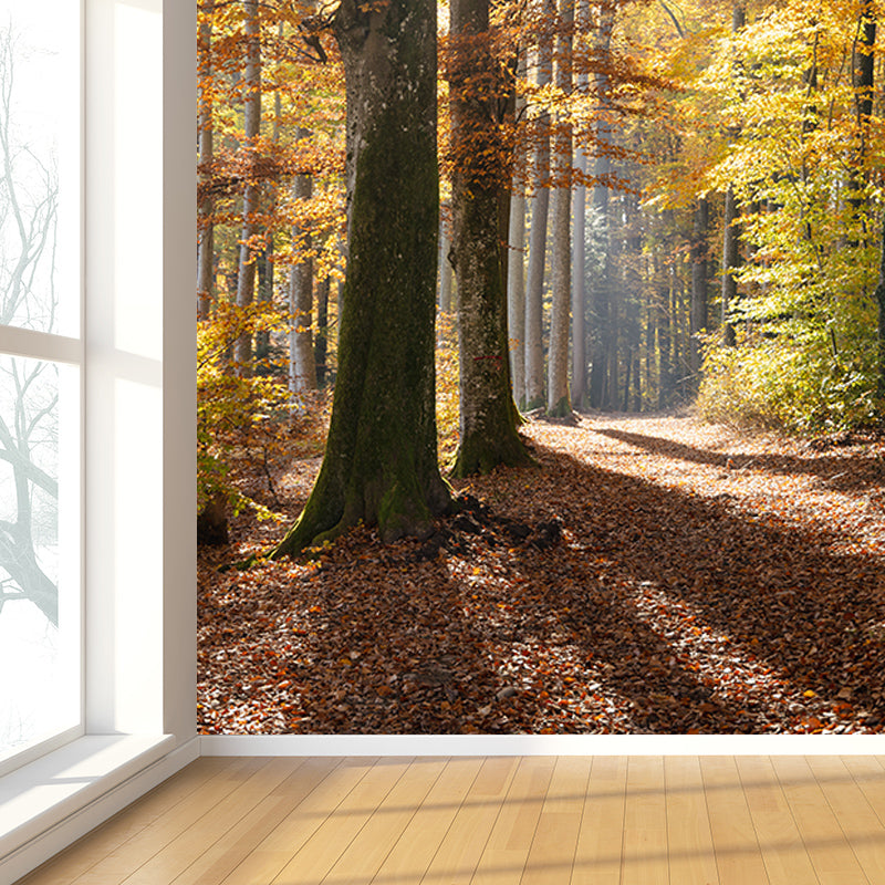 Forest Landscape Mural Water Resistant Wall Decor for Bedroom Reading Room