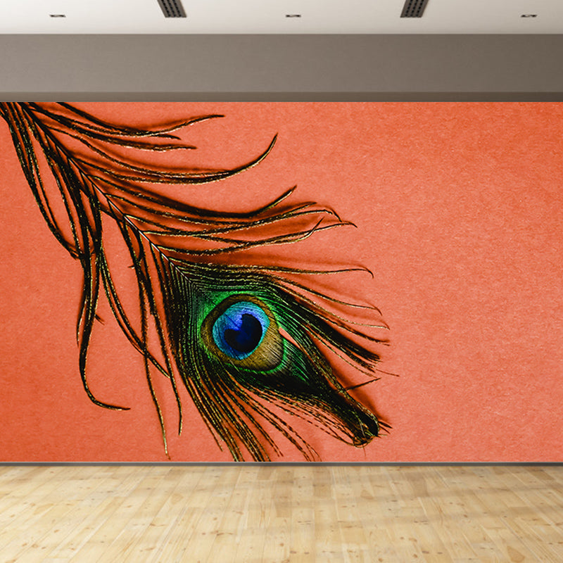 Peacock Feather Wallpaper Murals for Bedroom Water Resistant, Personalised Size