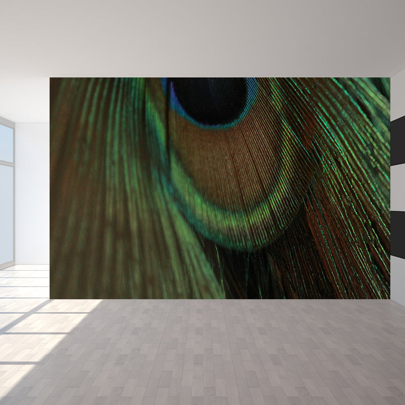 Peacock Feather Wallpaper Murals for Bedroom Water Resistant, Personalised Size