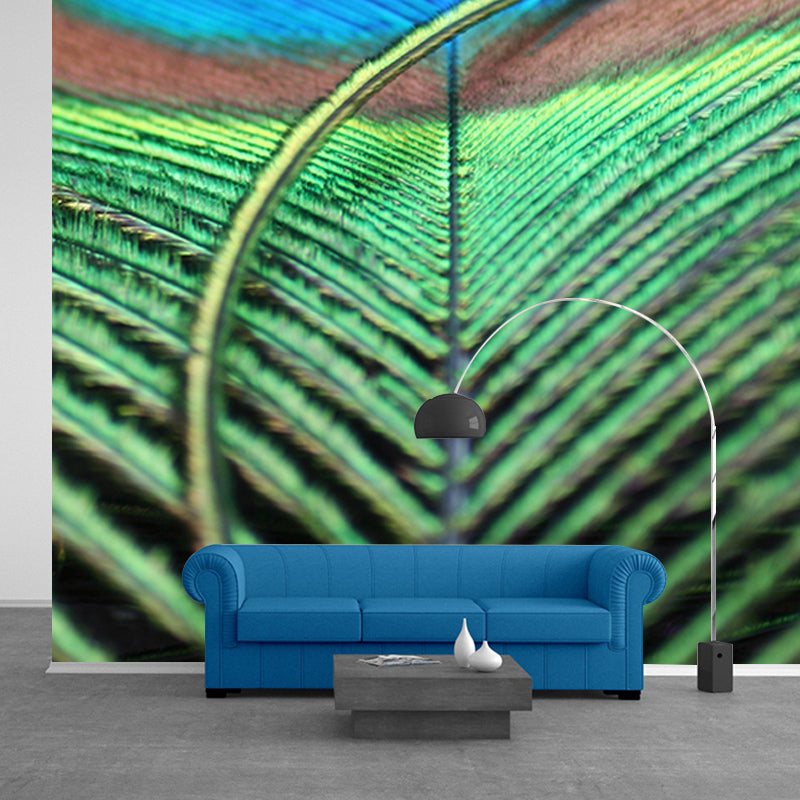 Peacock Feather Wallpaper Murals for Bedroom Water Resistant, Personalised Size