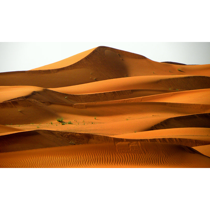Photography Desert Scenery Wall Murals for Living Room, Moisture Resistant