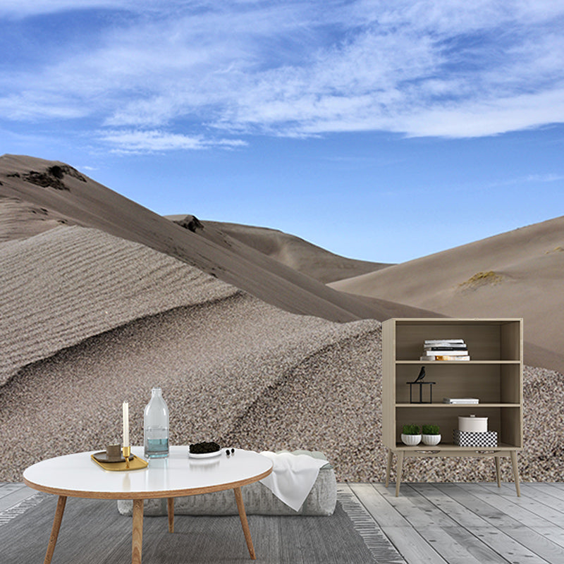 Photography Desert Scenery Wall Murals for Living Room, Moisture Resistant