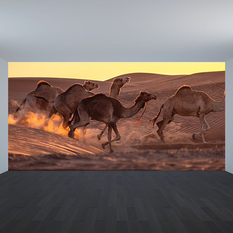 Contemporary Desert Wall Murals for Indoor Room, Moisture Resistant, Personalised Size