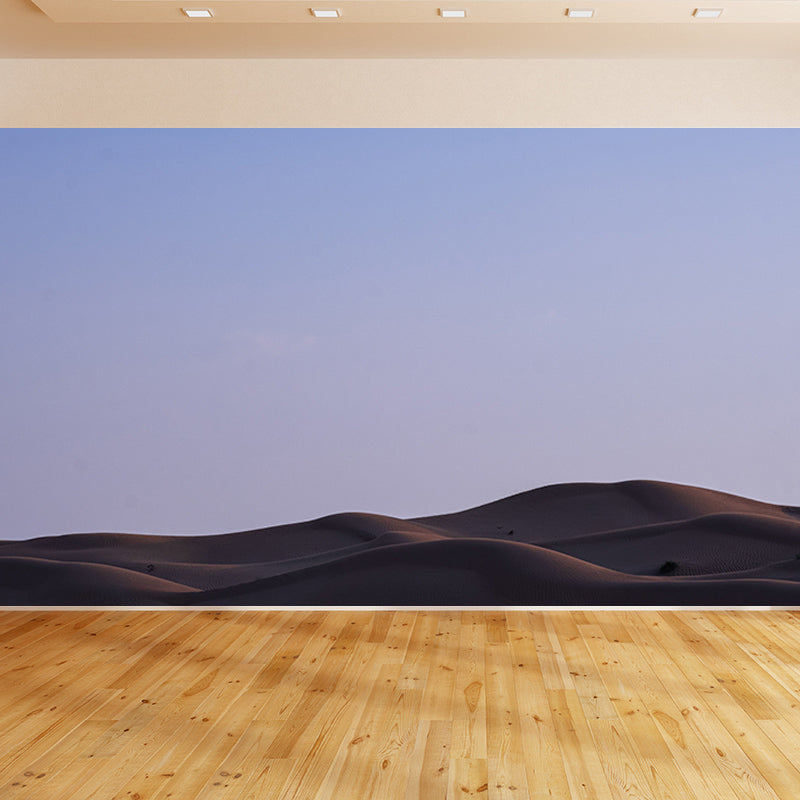 Contemporary Desert Wall Murals for Indoor Room, Moisture Resistant, Personalised Size
