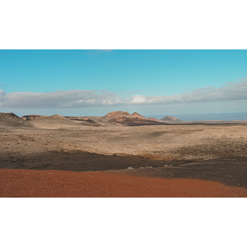 Desert Wall Murals Contemporary Wall Art for Bedroom, Moisture Resistant