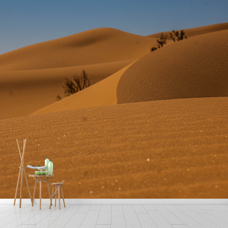 Moisture Resistant Desert Wall Covering Modern Murals Wall Decor for Living Room