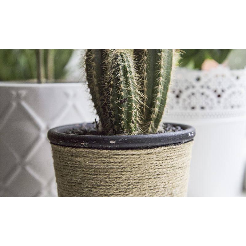 Cactus Plant Mural Contemporary Home Decor for Sitting Room, Water Resistant