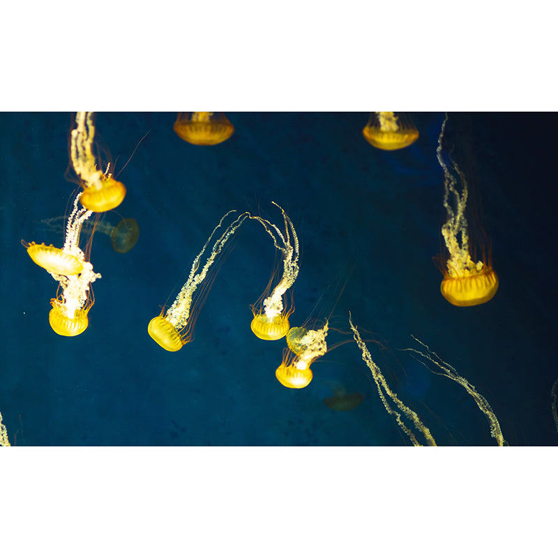 Tropical Creatures Murals Environment Friendly Wallpaper Sitting Room Wall Decor